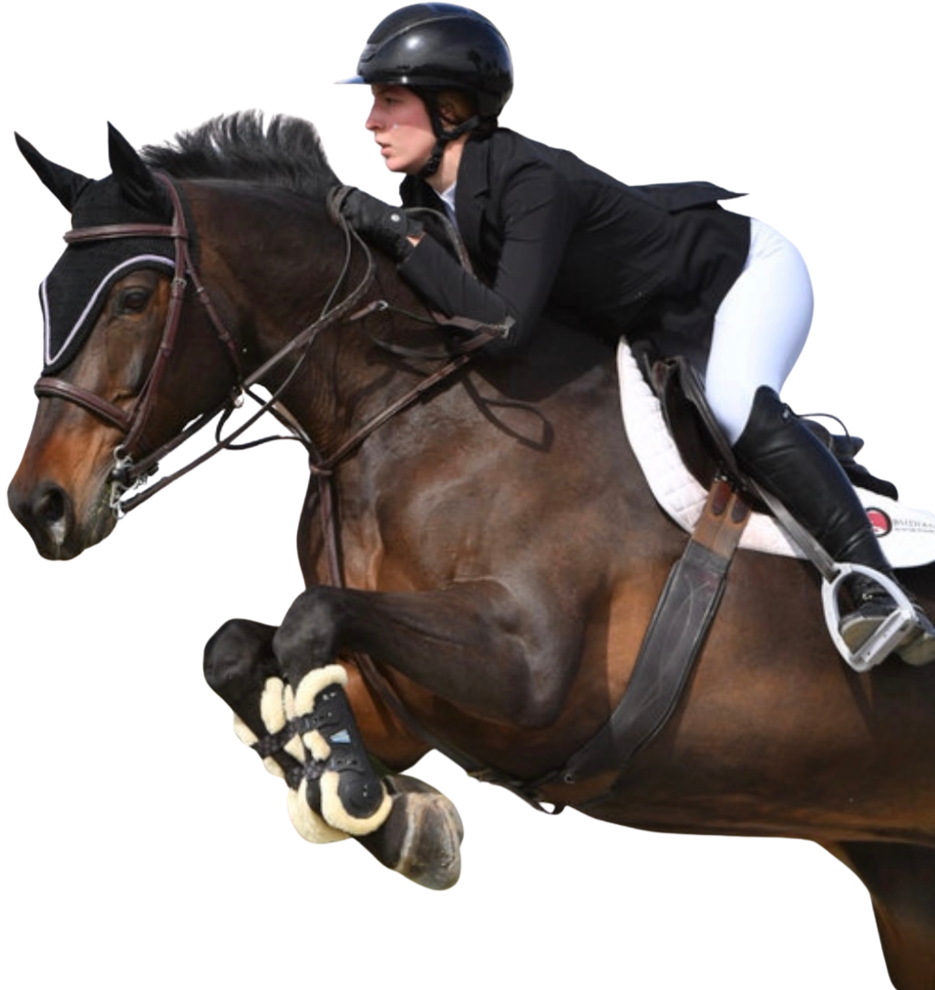 CPT Lynn Colliar Media horse Colliar Performance Therapy
