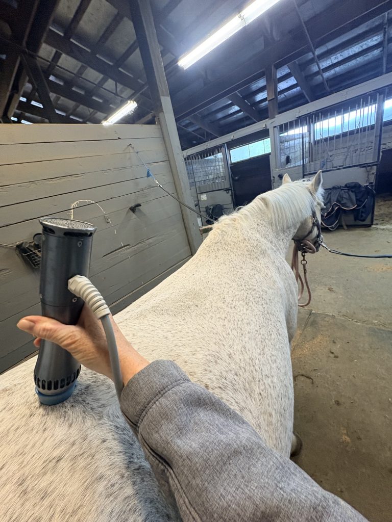shockwave therapy CPT Lynn Colliar Media horse Colliar Performance Therapy
