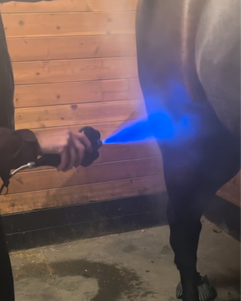 Cryo Therapy CPT Lynn Colliar Media horse Colliar Performance Therapy